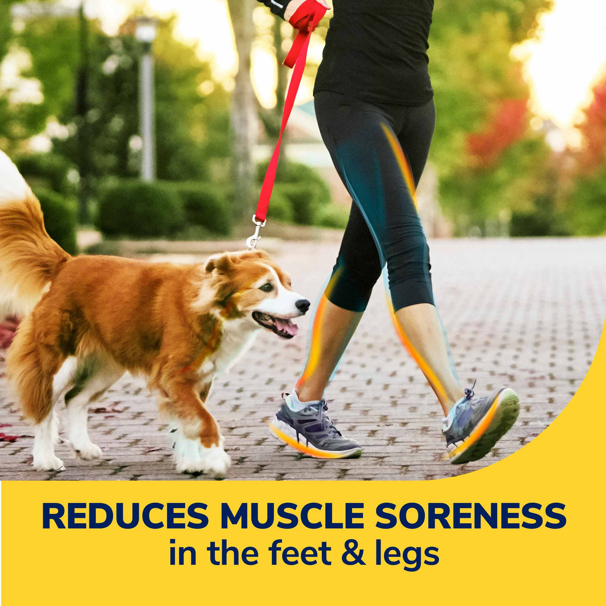 Walk Longer Insoles
