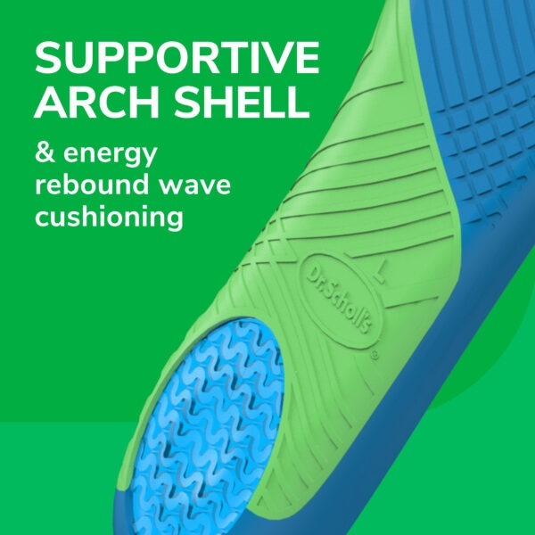 image of supportive arch shell