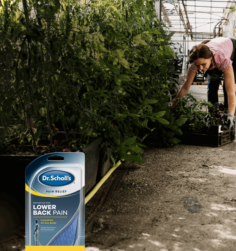 Photo of a woman bending over to pick up a flat of plants.